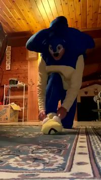 Sonic est rapide
