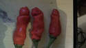 A la recherche des phallus perdus 68