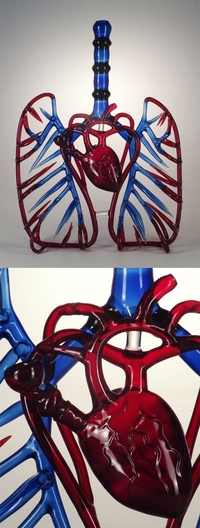 Un bong dans des organes de verre