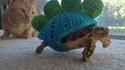 Tortue dinosaure