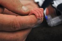 Un père tient la main de son fils