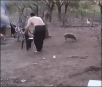 Action / Réaction