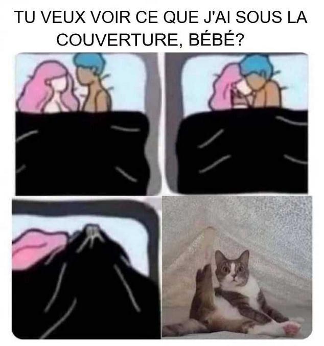 Un animal très agile.