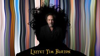 La place des effets spéciaux dans le cinéma de Tim Burton (durée 40 mn)