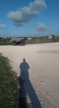 Petite promenade en carriole