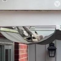 C'est vendredi, c'est bientôt fini...