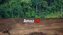 Amazonie