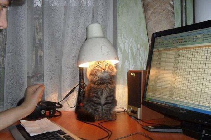 Je suis une lampe.