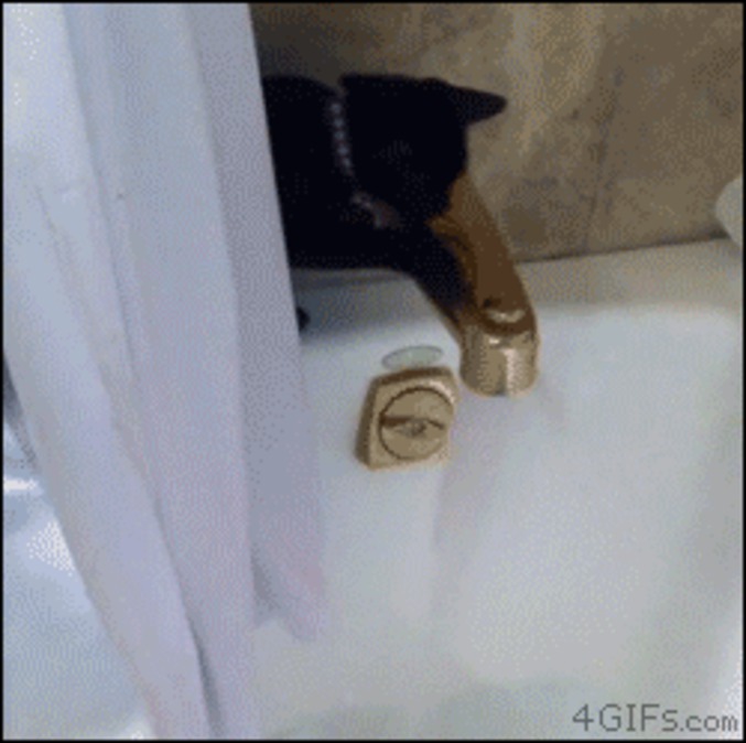 Un chat s'amuse avec un robinet