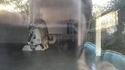 Les amours de R2D2