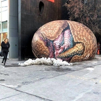 La sieste du pangolin