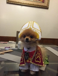 La main à la pape