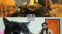 Cosplay Warcraft