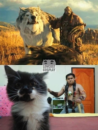 Cosplay Warcraft
