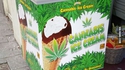 Une glace naturelle