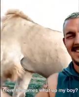 Un petit coup de journal enroulé sur le museau?