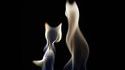 Chat flamme