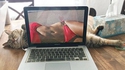 Sexy cat