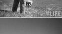 A la chasse