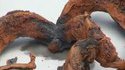 Thiocyanate de mercure