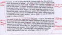 devoir van dam3