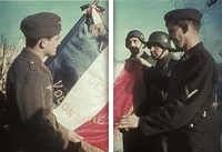 Le drapeau de la LVF (Légion des Volontaires Français)