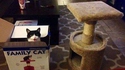 Connard de chat