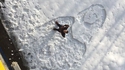 Mona Lisa en neige