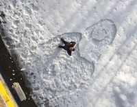Mona Lisa en neige