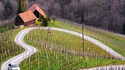 La route du coeur