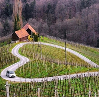 La route du coeur