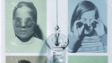 Le futur de la discipline