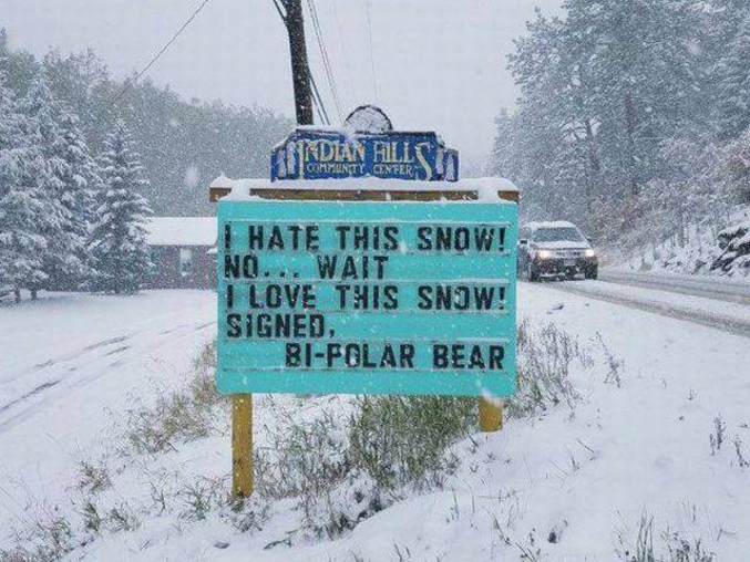 "Je déteste cette neige ! Non... Attendez. J'aime cette neige !"
Signé l'ours bipolaire