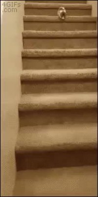 Descente d'escalier prudente