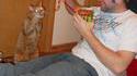 Cadeau pour chat