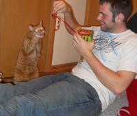 Cadeau pour chat