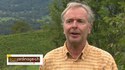 Des vignes bio sans traitement c'est possible !