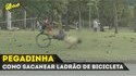 Bike Bait