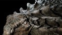 Fossile de nodosaure vieux de 110 millions d'années incroyablenent bien conservé