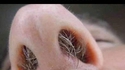 Si t'as un nez comme ça