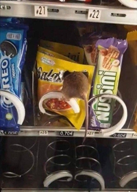 L'hygiène avant tout