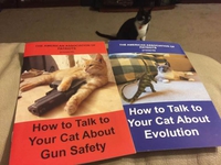 Comment parler à son chat