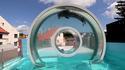 Piscine pour phoque