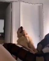 Debout c’est le matin 