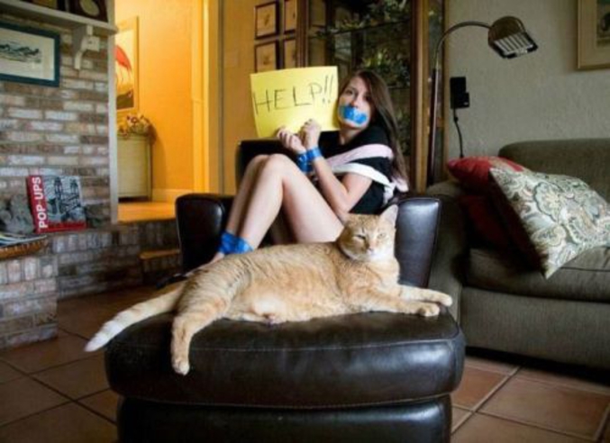 Elle sera libérée contre 25 kg d'herbe à chat de 100 kg de mou.