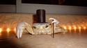 Kraboss le crabe gentleman