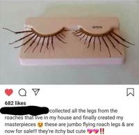 Pour un regard arachnide