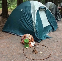 Emmener son chat en camping 