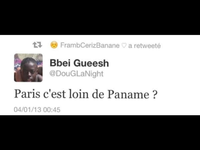 Les idiots du net