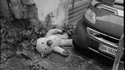Un triste accident de la route
